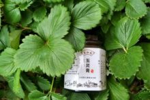 坐月子可以吃玉灵膏吗-古方玉灵膏-贡轩园天然守真。