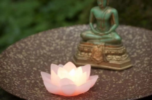 长期气血不足是导致一切疾病的根源，判断它的十个症状符合三条便是-古方玉灵膏-贡轩园天然守真。